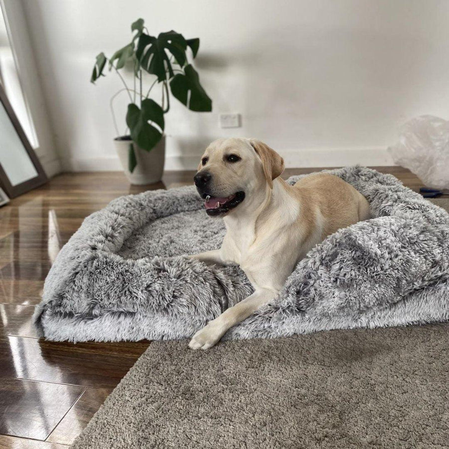 Best Dog Beds for Large Dogs - Top Picks in Australia - petpawz.com.au