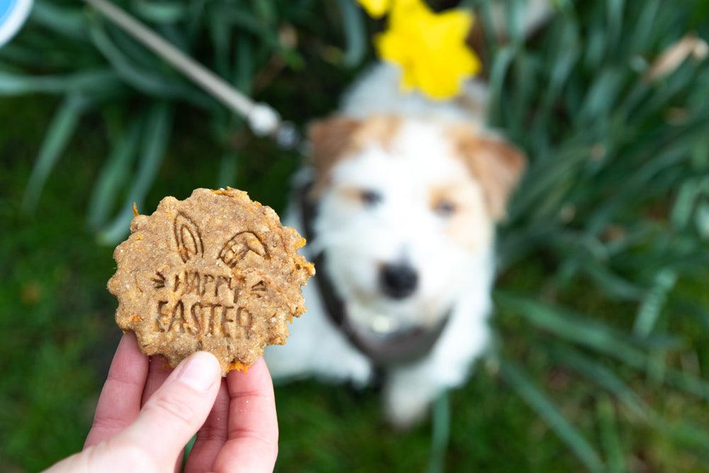 Spoil Your Pup This Easter with Irresistible Treats and Chocolate Safety Tips