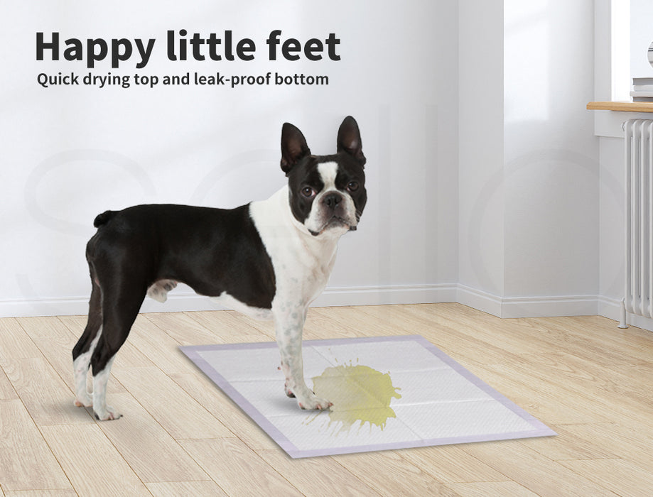 PaWz Pet Dog Toilet Training Pad