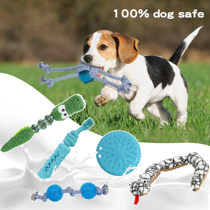 Dog Chew Toys 6pcs Value Pack