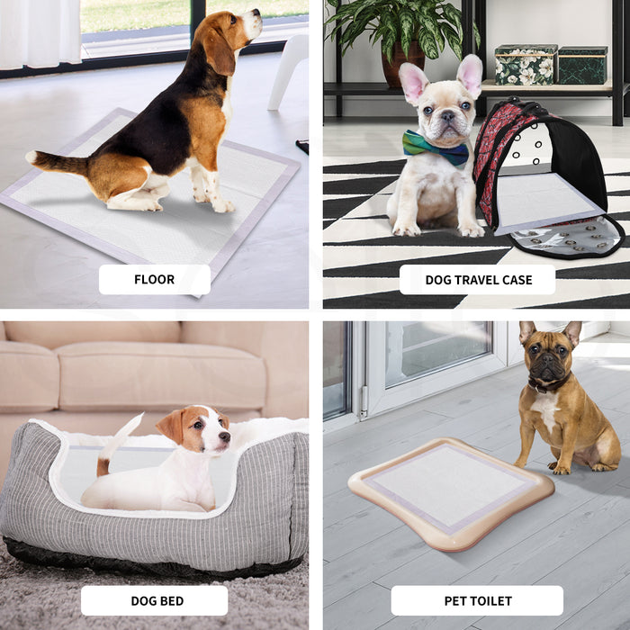 PaWz Pet Dog Toilet Training Pad
