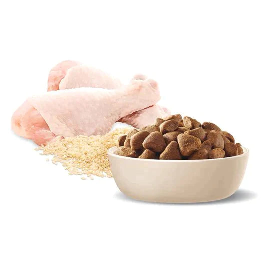 Advance Dog Adult Large Breed Chicken with Rice 15kg - petpawz.com.au