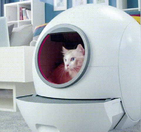 PaWz Automatic Smart Cat Litter Box - petpawz.com.au