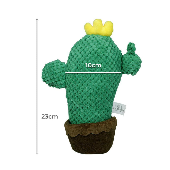 PaWz Big Green Cactus - petpawz.com.au