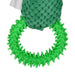 PaWz Green Ring Cactus - petpawz.com.au