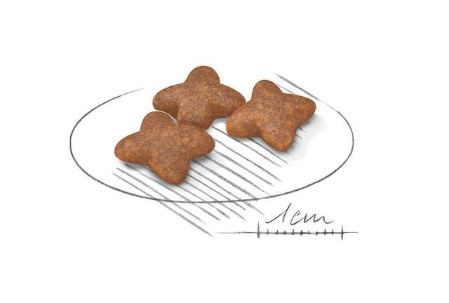 Royal Canin Mini Adult Dry Dog Food | 4kg - petpawz.com.au
