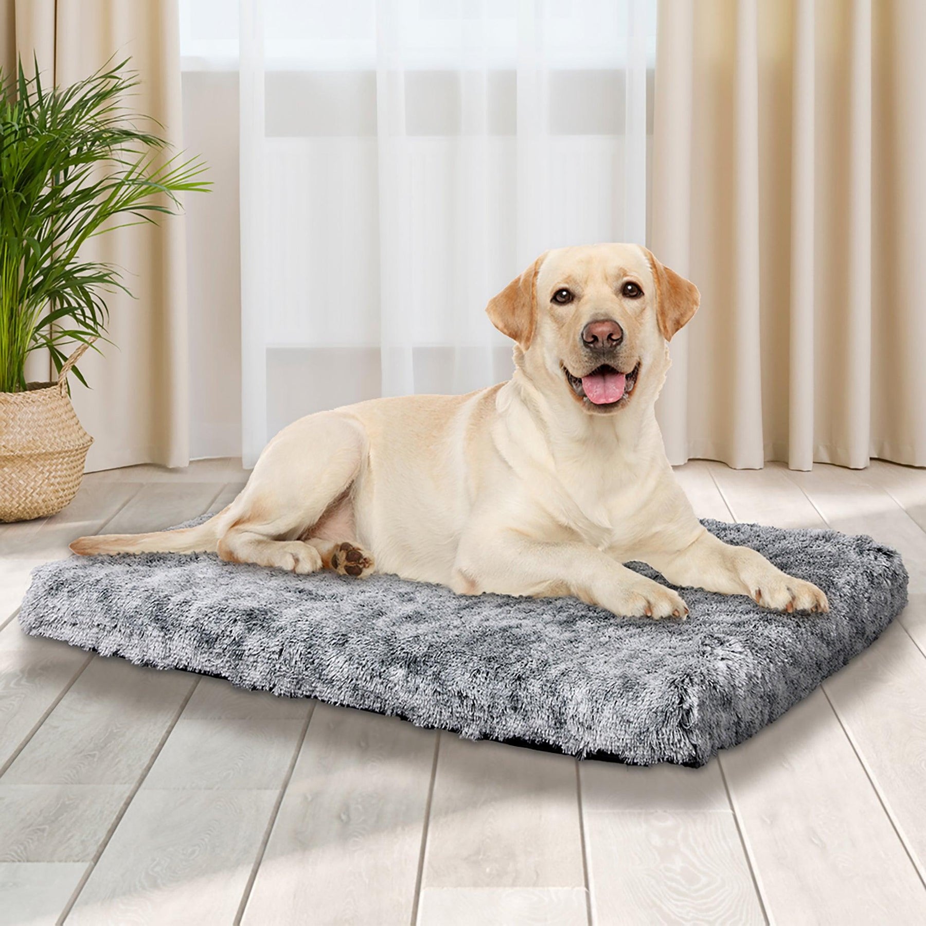 Unveiling the Serenity: PaWz Premium SuperMat Calming Bed