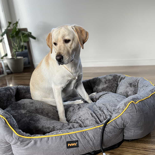 Dog beds for cold weather on sale