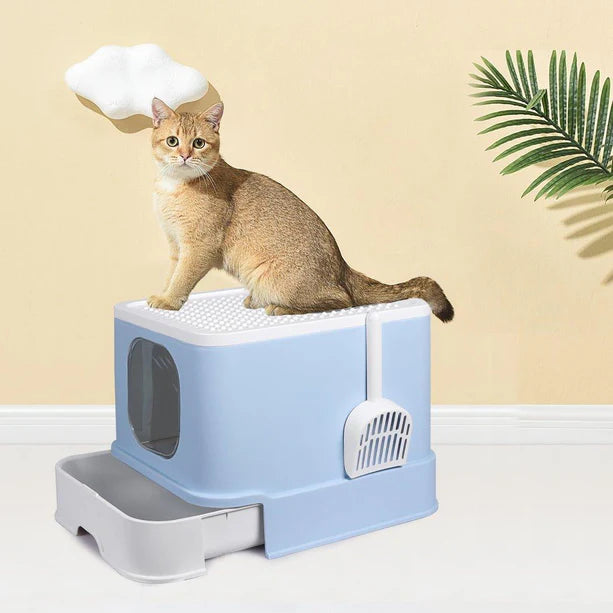 Best Top Entry Litter Boxes 