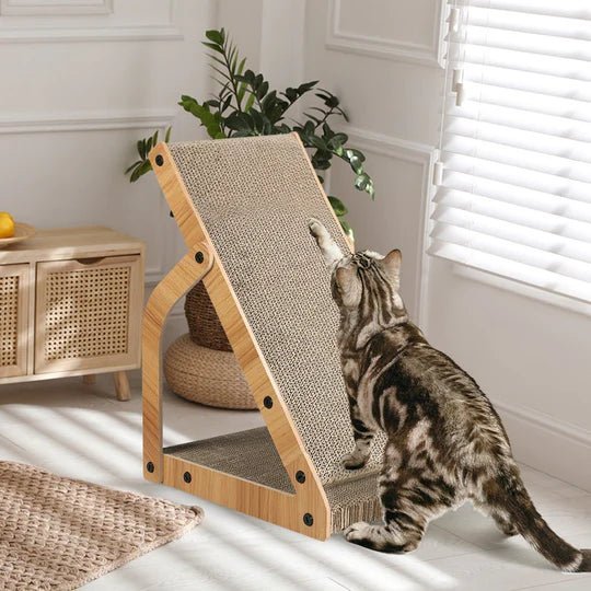 The Best Cat Scratching Posts In 2023 —