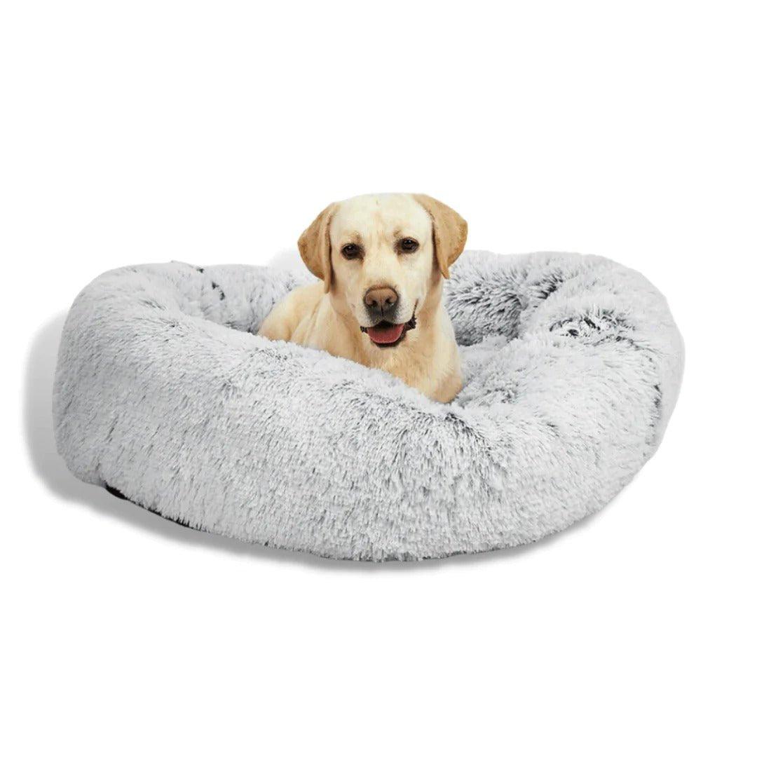 Calming Dog Beds - petpawz.com.au