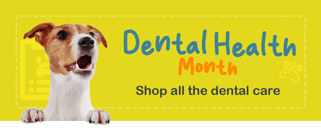 Dental Month - petpawz.com.au