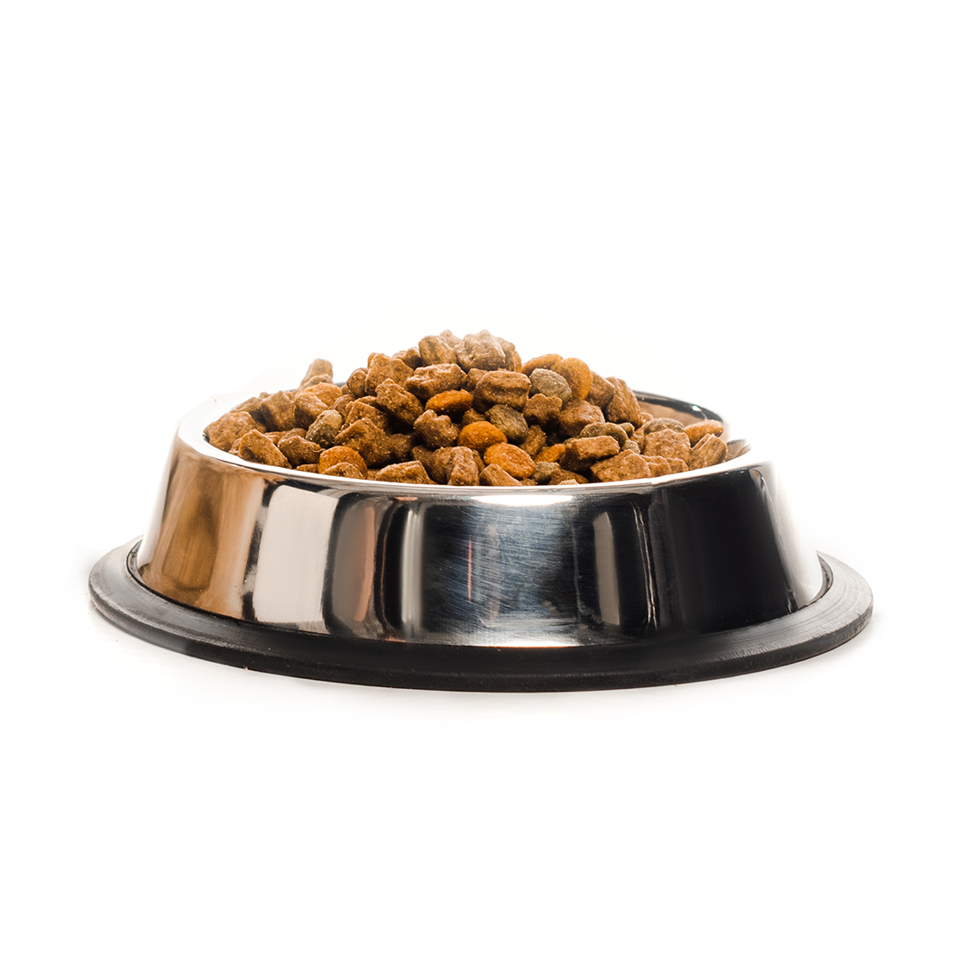 Dry Food Dogs 