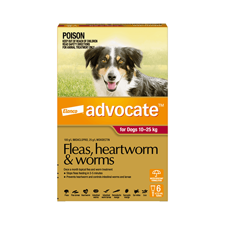 Flea & Worming for dog - petpawz.com.au