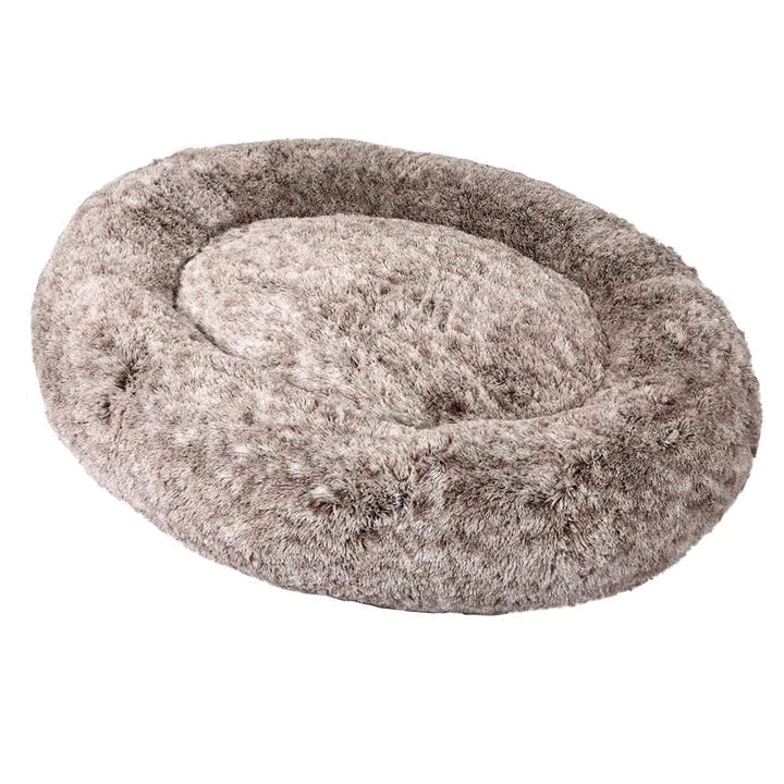 Human Size Dog Beds - petpawz.com.au