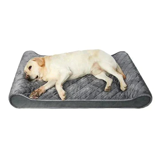 Orthopaedic Dog Beds - petpawz.com.au