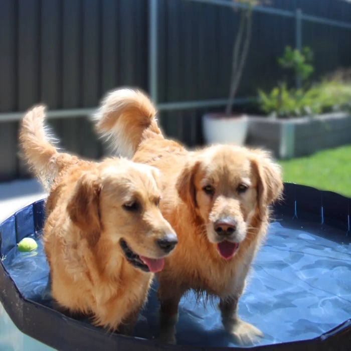 Pawz Pet Dog Pool – Folding 2-in-1 Splash Bath Tub