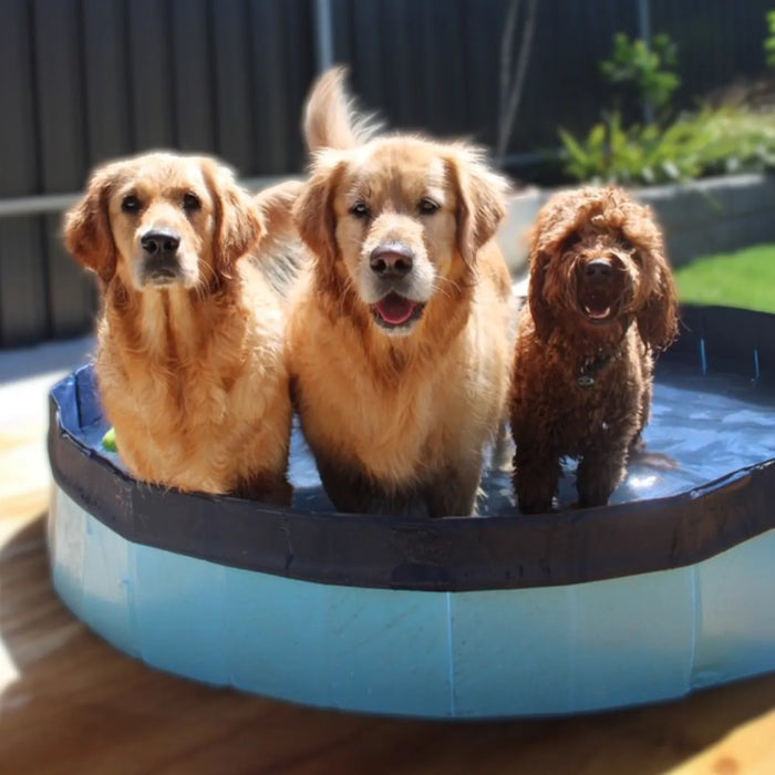 Pawz Pet Dog Pool – Folding 2-in-1 Splash Bath Tub