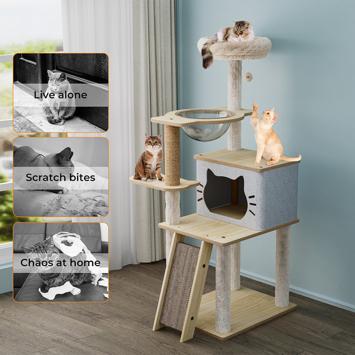 3 cats on Wooden cat tree 6 tier platforms 