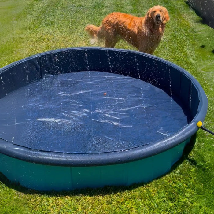 Pawz Pet Dog Pool – Folding 2-in-1 Splash Bath Tub