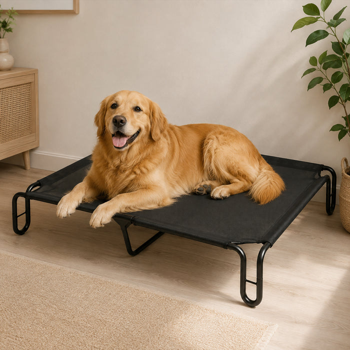 Elevated Dog Bed Breathable Mesh Cooling for Indoor Outdoor Black
