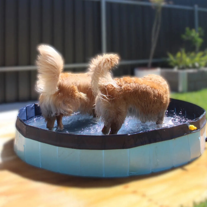 Pawz Pet Dog Pool – Folding 2-in-1 Splash Bath Tub