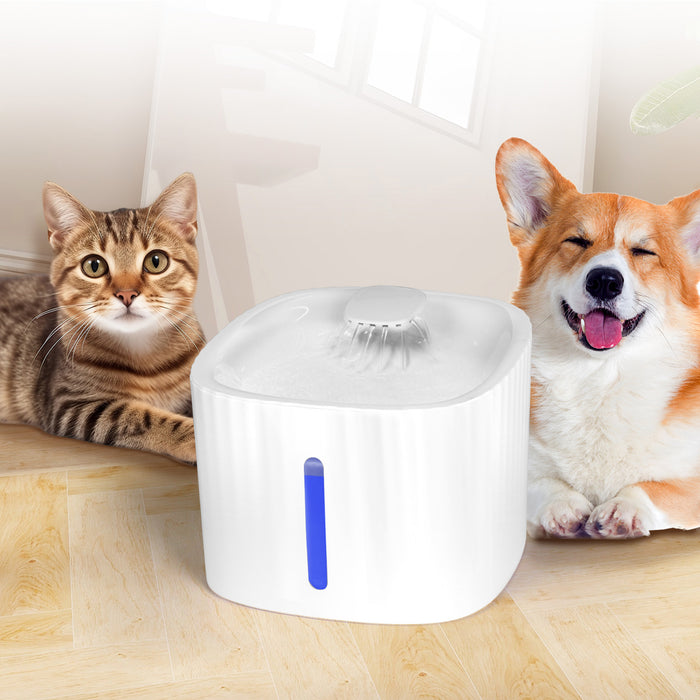 PaWz Automatic Electric Pet Water Fountain Dog Cats Drinking Dispenser Filter 3L - petpawz.com.au