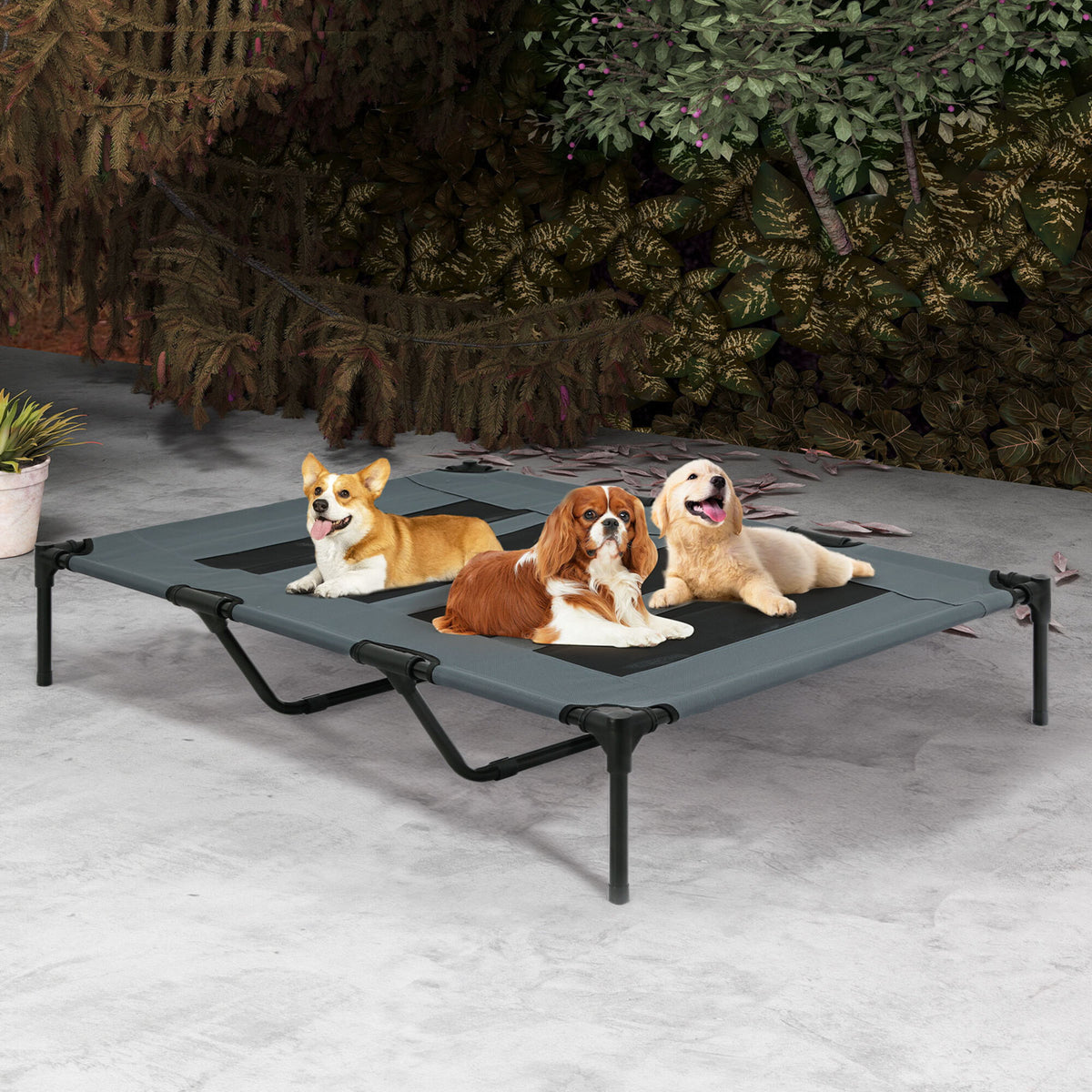 Elevated Pet Bed Raised Dog Bed Heavy Duty Outdoor Cooling Portable Be