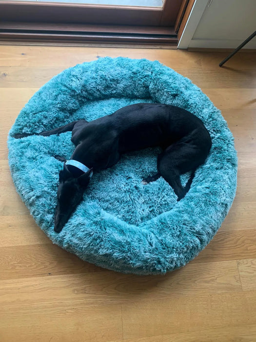 Black dog relaxing on PaWz Removable Cover Calming Pet Bed