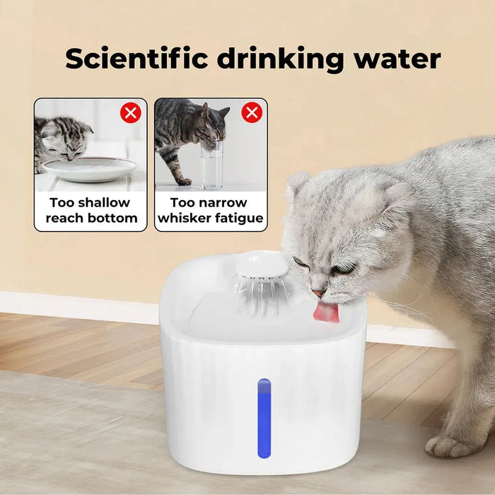 Cat Drinking water from PaWz 3L Automatic Water Fountain