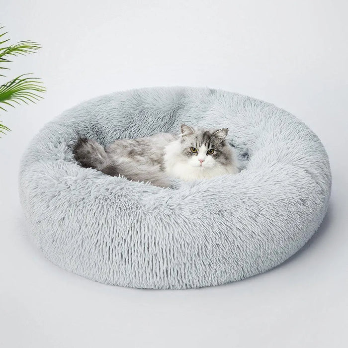 Cat on the PaWz Calming Cat Bed 