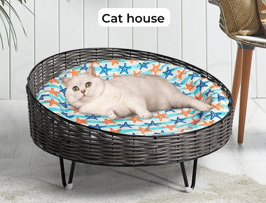 Cat relaxing on Cat cooling mat in the cat house
