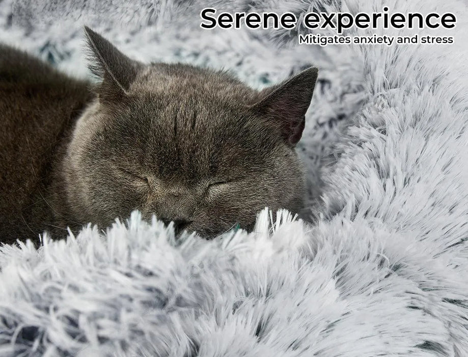 Cat relaxing on PaWz Calming Donut Cat Bed – Grey