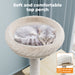 Cat relaxing on soft top perch of Wooden cat tree