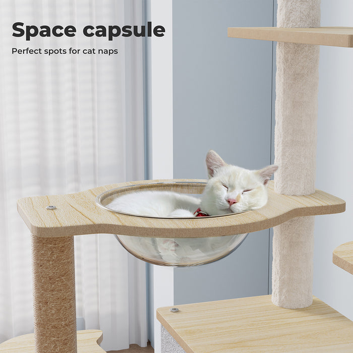 Cat relaxing on space Capsule of Wooden cat tree