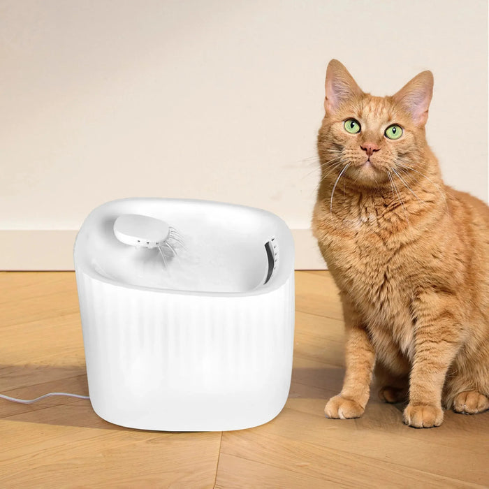 Cat sitting next to PaWz 3L Automatic Water Fountain 
