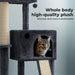 Cat sitting on Multi-level cat tree tower​