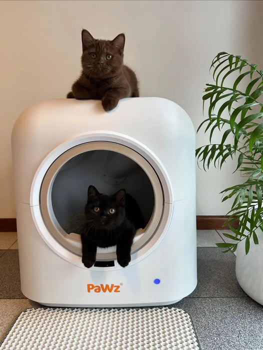 Cats on the cat automatic litter box