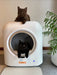 Cats on the cat automatic litter box