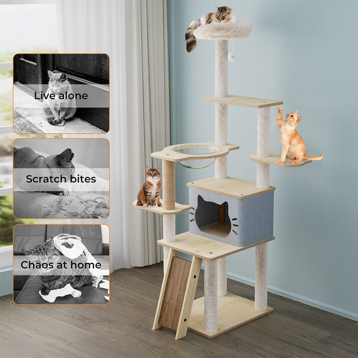 Cats on the large Pawz Wooden Multi-level Cat Tree Tower