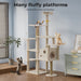 Cats playing near Wooden cat tree