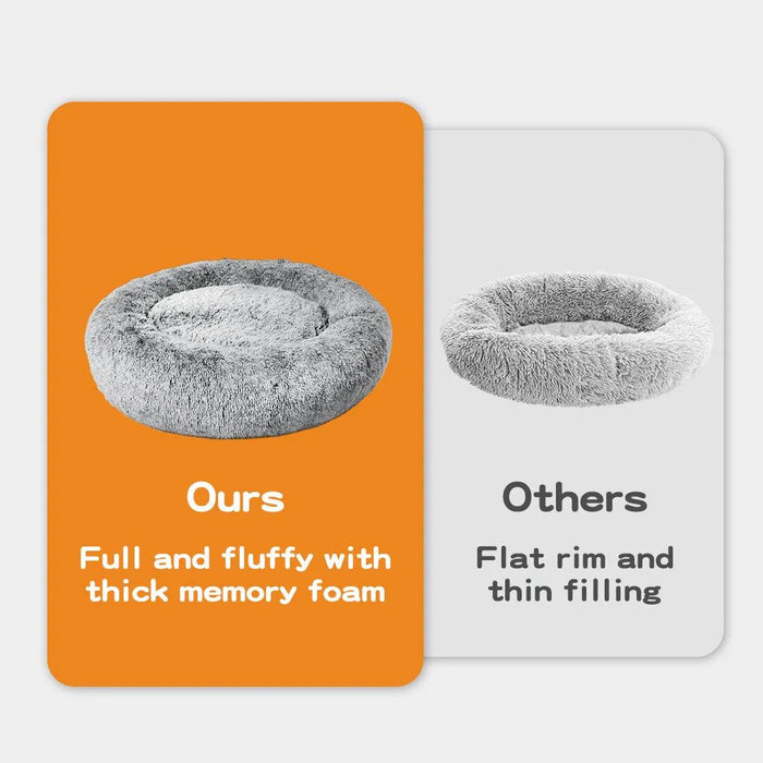 Comparison of Pawz Full & Fluffy with thick memory foam  bed with other thin  bed