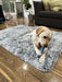 Dog Chewing on the pawz-memory foam dog mat