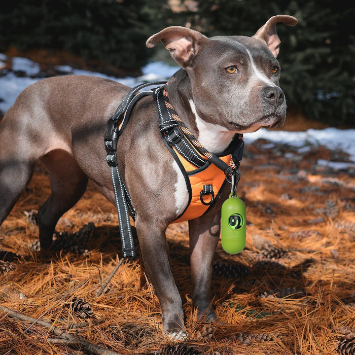 Dog carry a  dog poop bags compostable with dispenser 