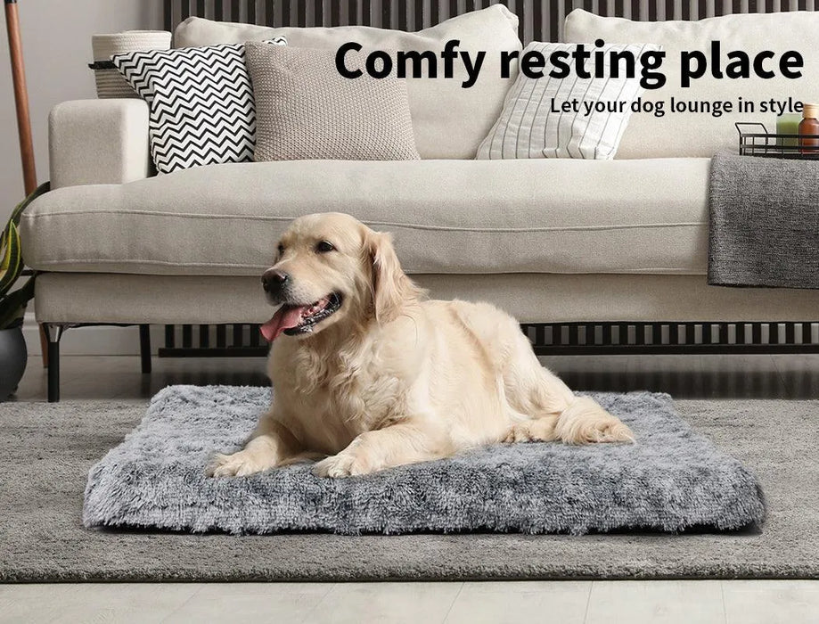 Dog comfortably sitting on the memory foam pet mat