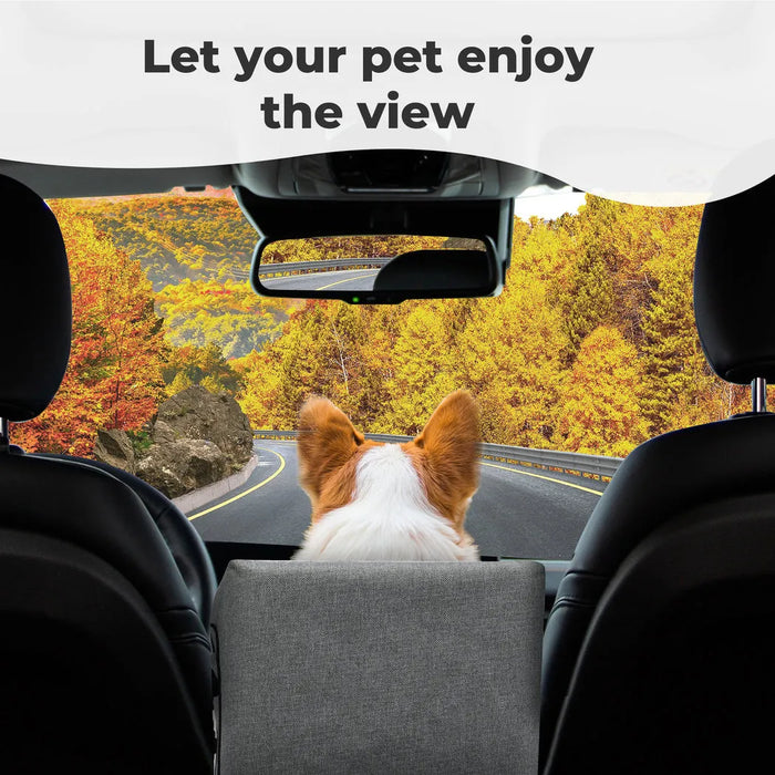 Dog in car center console dog bed​ in car