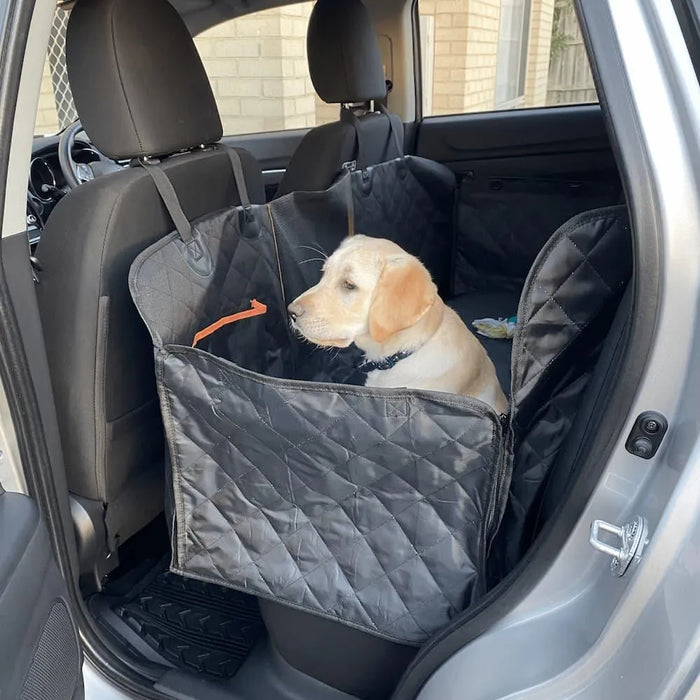 Dog in car sitting on Pawz Pet Back Seat Cover 