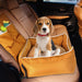 Dog in the Pawz Dog Car Bed 
