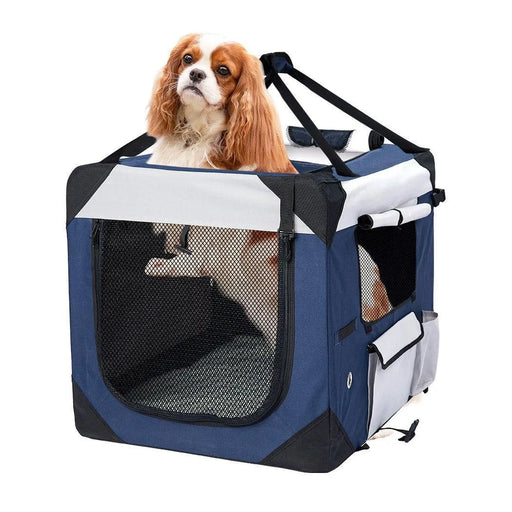 Dog in the large dog carrier