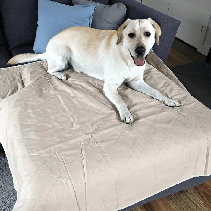Dog on PaWz Washable Pee Pads 